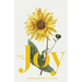 Intro to Joy