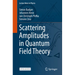 Scattering Amplitudes in Quantum Field Theory