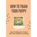 How To Train Your Puppy: Help The Beginners To Work With Their Puppy On Everything: Dog Training Guide For Beginners