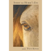 Inside the Horse's Eye