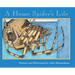 A House Spider's Life (Nature Upclose)
