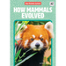 How Mammals Evolved