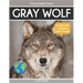 Gray Wolf: Fascinating Animal Facts for Kids