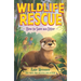 How to Save an Otter