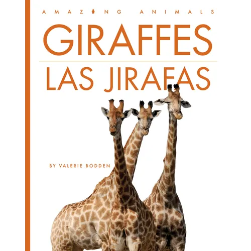 Giraffes / Las Jirafas
