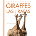 Giraffes / Las Jirafas
