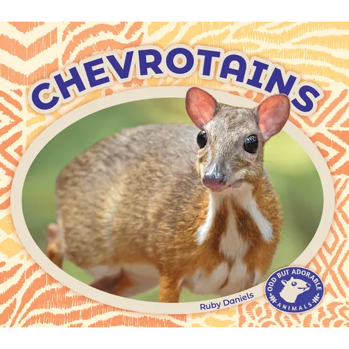 Chevrotains