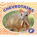 Chevrotains