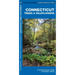 Connecticut Trees & Wildflowers: A Folding Pocket Guide to Familiar Plants
