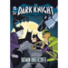 The Dark Knight: Batman Undercover