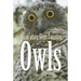 Australian High Country Owls
