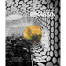 Broissin Architects: 25 Years in Silver