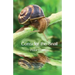 Consider the Snail