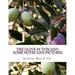 The Olive In Tuscany: Some Notes and Pictures