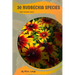 30 Rudbeckia species: Make the right choice