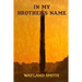 In My Brother's Name