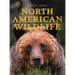 North American Wildlife