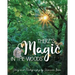 There's Magic in the Woods