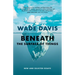 Beneath the Surface of Things: New and Selected Essays