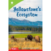 Yellowstone's Ecosystem