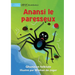 Lazy Anansi - Anansi le paresseux