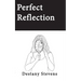 Perfect Reflection