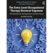 The Entry Level Occupational Therapy Doctoral Capstone: A Framework for the Experience and the Project