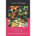 The Basics of Color Psychology: Meaning and Symbolism of Colors