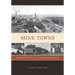 Mine Towns: Buildings for Workers in Michigans Copper Country