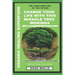 The Miracle Tree With Organic Healing Superfood, Change your life with Moringa Oleifera: The food medicine for natural remedies and self healing power