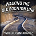 Walking the Old Boonton Line: A Photographic Journey on the Abandoned Rails of New Jersey