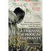 A Training School for Elephants