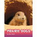 Prairie Dogs
