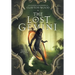 The Lost Gemini