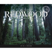 Welcome to Redwood National and State Parks