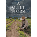A Quiet Storm