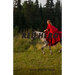 Red Hero: Story of a Girl from a Hidden Hero to a Teenage Queen