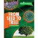 From Seed to Tree! The Biology of Plants