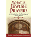 What is Jewish Prayer?: An Introduction the Theology of Jewish Prayer