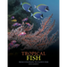 Tropical Fish: From Stingrays to Clown Fish