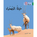 Collins Big Cat Arabic Reading Programme - The Life of the Desert: Level 15