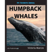 My Favorite Animal: Humpback Whales