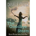 The Goodbye Storm
