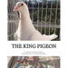 The King Pigeon