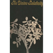 The Divine Relativity: A Social Conception of God