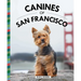 Canines of San Francisco