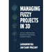 Managing Fuzzy Projects in 3d: A Proven, Multi-Faceted Blueprint for Overseeing Complex Projects