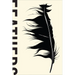 Feathers: The Evolution of a Natural Miracle