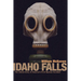 Idaho Falls: The Untold Story of America's First Nuclear Accident