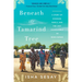 Beneath the Tamarind Tree